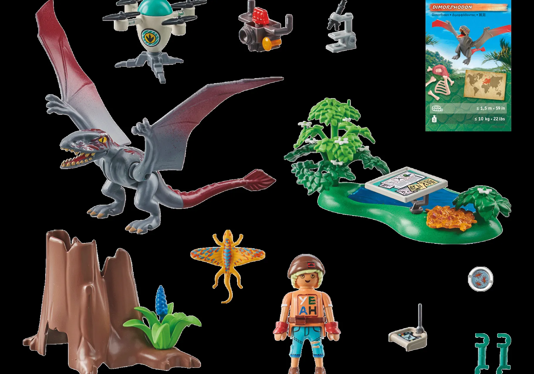 Beobachtungsstation für Dimorphodon-PLAYMOBIL Cheap