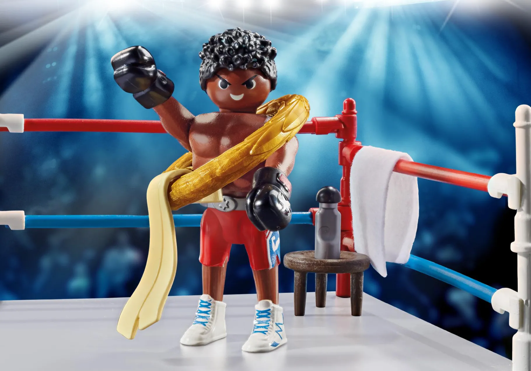 Box-Champion-PLAYMOBIL Online
