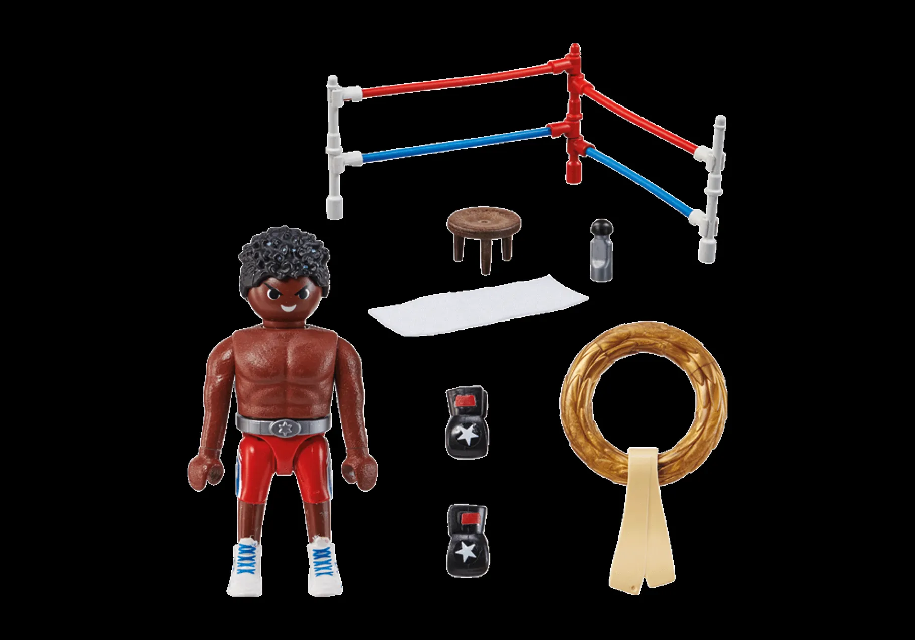 Box-Champion-PLAYMOBIL Online