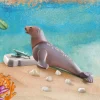 WILTOPIA - Seelöwe-PLAYMOBIL Best Sale